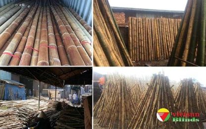 Việt Sun Blind xưởng cung cấp nguyên liệu tre trúc
